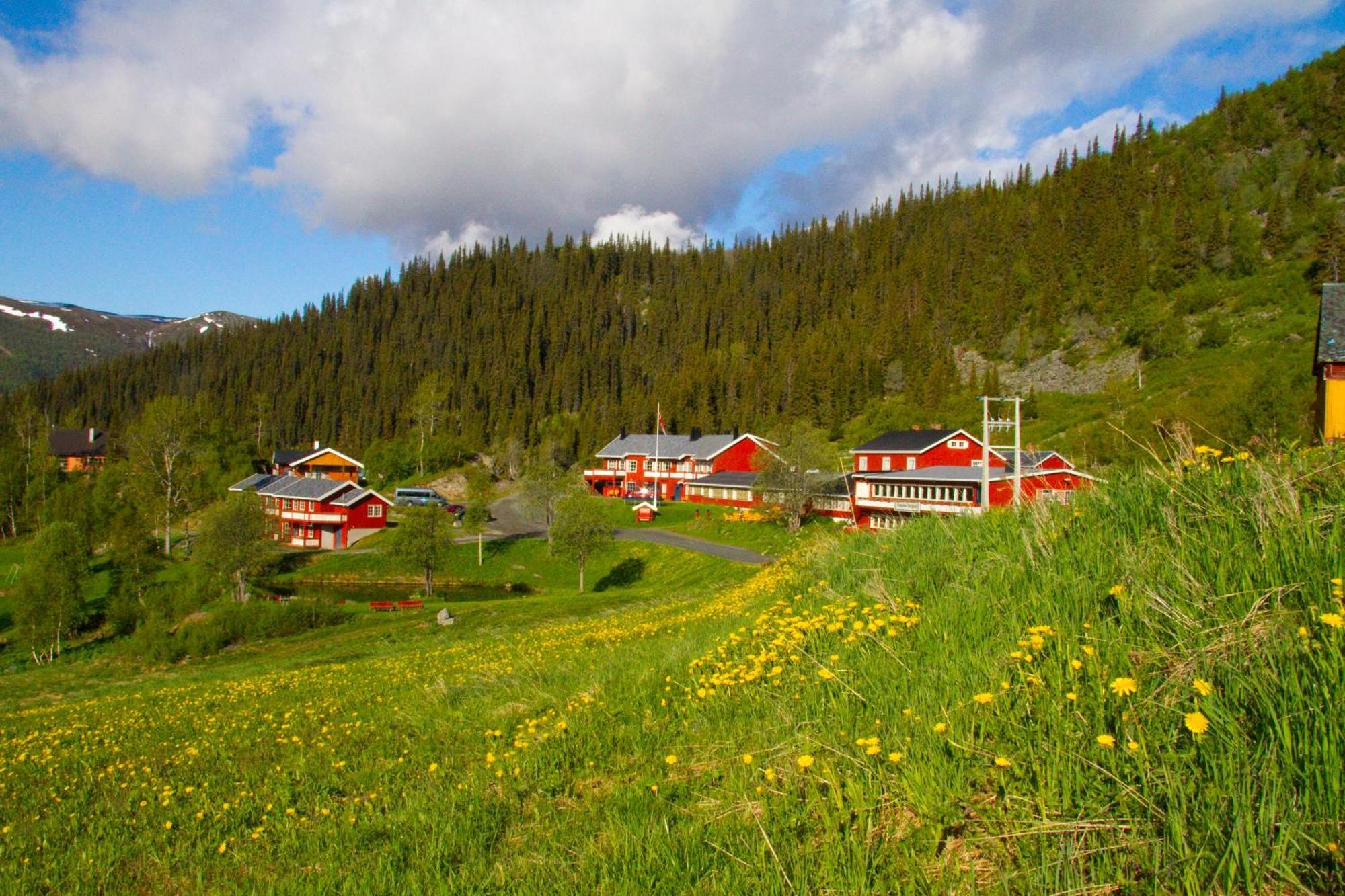 Gronolen Fjellgard Hotel Beitostolen Eksteriør billede